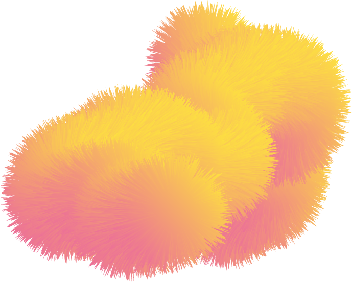 peluche